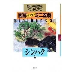 図解ミニ盆栽　野山の自然をインテリアに　４　シンパク