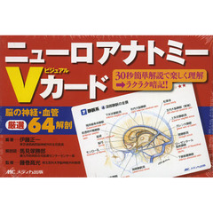 ニューロアナトミー・ビジュアルカード
