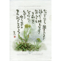 和紙風クリアファイル　ハハコグサ