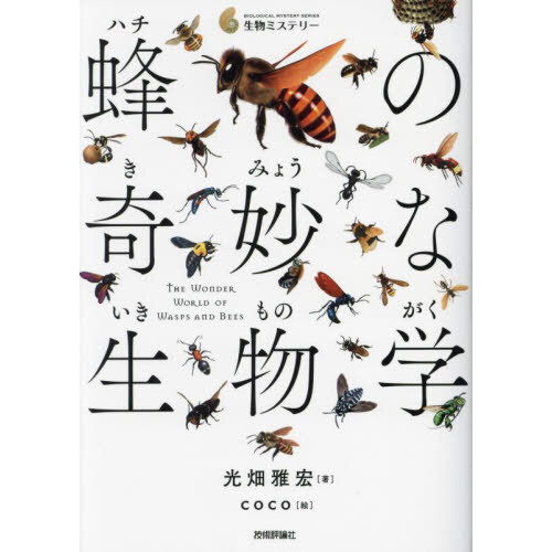 日本の野生植物 １ 改訂新版 フィールド版 ソテツ科～コミカンソウ科