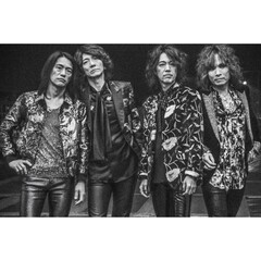 THE YELLOW MONKEY 偉大なる復活 Photographs by MITCH IKEDA