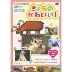NHK DVD ダーウィンの動物大図鑑 はろ～！あにまる きょうのかわいい！ チャーミングな動物大集合（ＤＶＤ）