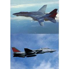F-14A トムキャット ファイナル（ＤＶＤ）