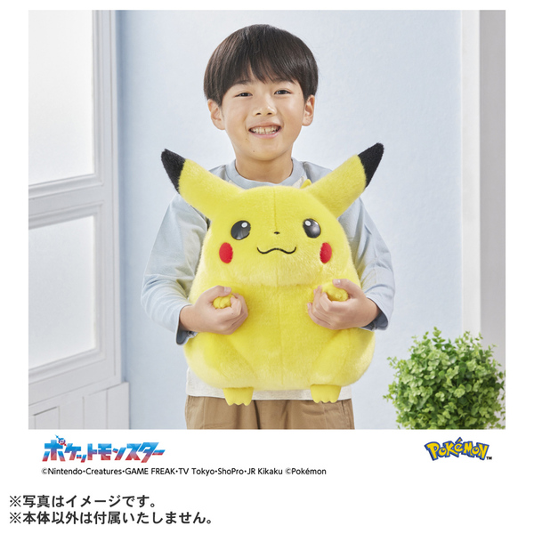 ポケモン30周年記念 おかえり！ピカチュウ1/1 通販｜セブンネット