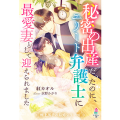 秘密の出産だったのに、エリート弁護士に最愛妻として迎えられました【極上男子の結婚シリーズ】