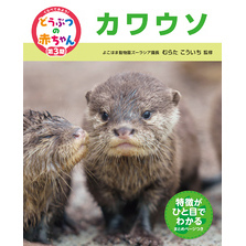 くらべてみよう！どうぶつの赤ちゃん　２３　カワウソ