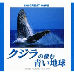 クジラの棲む青い地球　Ｔｈｅ　ｇｒｅａｔ　ｗａｖｅ　望月昭伸写真集