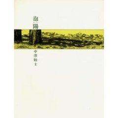 泡陽