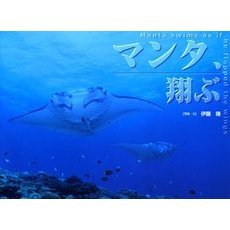 マンタ、翔ぶ