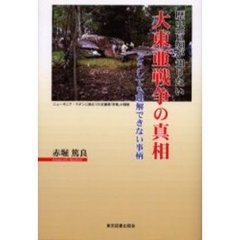 歴史音痴が知りたい大東亜戦争の真相　どうしても理解できない事柄