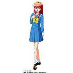 ときめきメモリアル　１０ｔｈ　ＢＯＸ