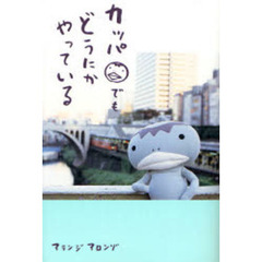 カッパでもどうにかやっている