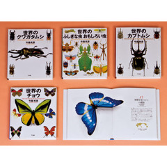 今森光彦世界の昆虫美術館　４巻セット