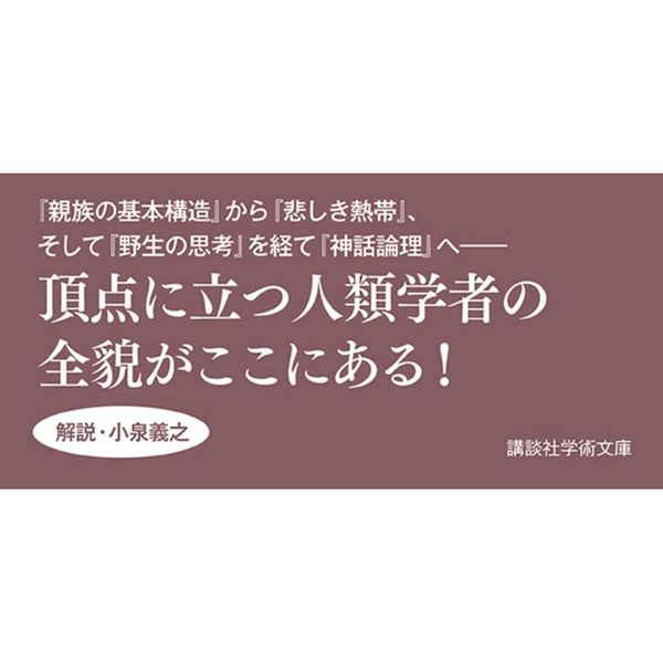 レヴィ＝ストロース　構造（文庫本）