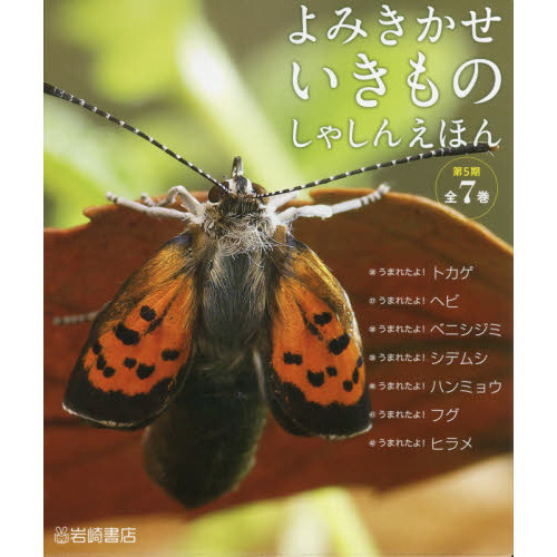 よみきかせいきものしゃしんえほん　第５期　７巻セット
