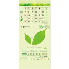 グリーン3ヶ月eco S-上から順タイプ- 　2024年カレンダー