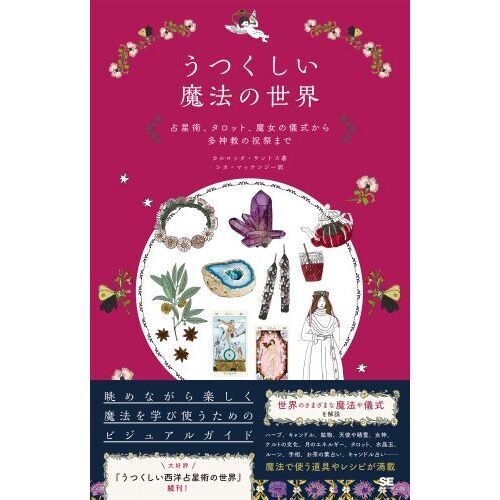 気持ち・未来が占えるタロット＆ルーンの石　解説書　２冊セット 気持ち・未来が占えるタロット＆ルーンの石 解説書 2冊セット