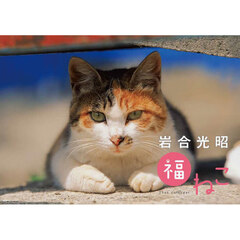 ’２５　岩合光昭福ねこカレンダー