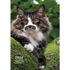 岩合光昭ねこｄｉａｒｙ＆ｓｃｈｅｄｕｌｅ