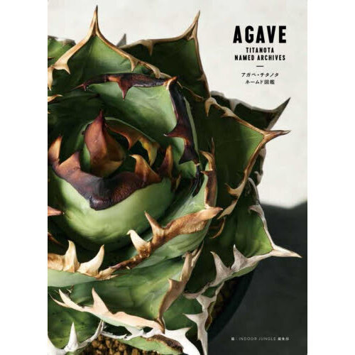 ֥ͥåȥåԥ󥰤㤨֥١Υ͡ɿ޴աפβǤʤ2,200ߤˤʤޤ