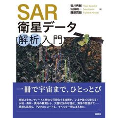 SAR衛星データ解析入門