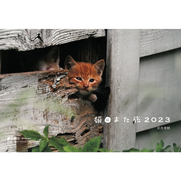 週刊朝日 22年12月23日号 特別綴じ込み付録 岩合光昭さん猫カレンダー 猫にまた旅 23 通販 セブンネットショッピング