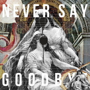 ֥ͥåȥåԥ󥰤㤨ALINEVER SAY GOODBYE̾סCDˡפβǤʤ1,320ߤˤʤޤ