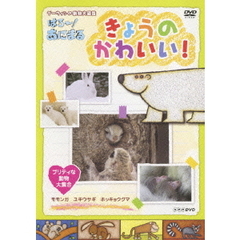 NHK DVD ダーウィンの動物大図鑑 はろ～！あにまる きょうのかわいい！ プリティな動物大集合（ＤＶＤ）