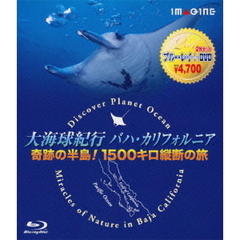 大海球紀行バハ・カリフォルニア －奇跡の半島！1500キロ縦断の旅－（Ｂｌｕ－ｒａｙ）