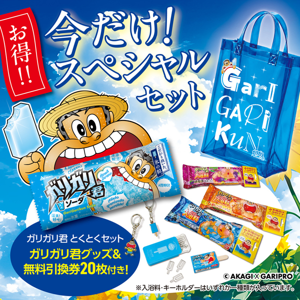 ガリガリ君 とくとくセット ～グッズ＆無料引換券20枚付き！～ 通販