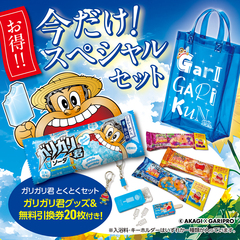 ガリガリ君　とくとくセット ～グッズ＆無料引換券20枚付き！～