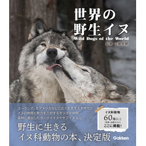 世界の野生イヌ