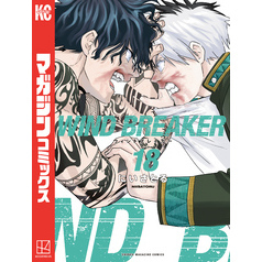 ＷＩＮＤ　ＢＲＥＡＫＥＲ（１８）