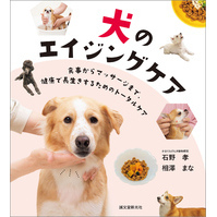 犬のエイジングケア：食事からマッサージまで、健康で長生きするためのトータルケア