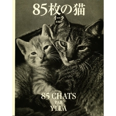 ８５枚の猫