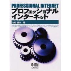 プロフェッショナルインターネット