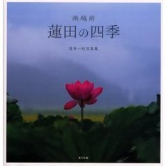 南越前蓮田の四季　落井一枝写真集