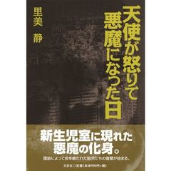 天使が怒りて悪魔になった日