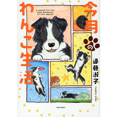 今月のわんこ生活