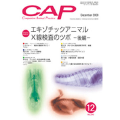 ＣＡＰ　２４６