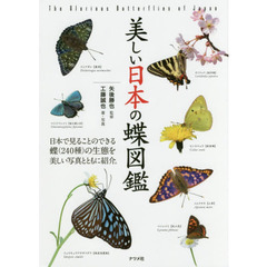 美しい日本の蝶図鑑
