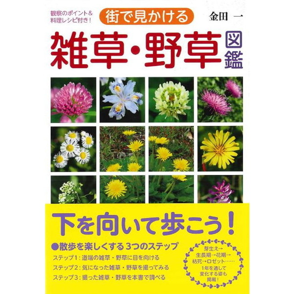 10冊　野草図鑑　等 街で見かける雑草・野草図鑑 観察のポイント＆料理レシピ付き