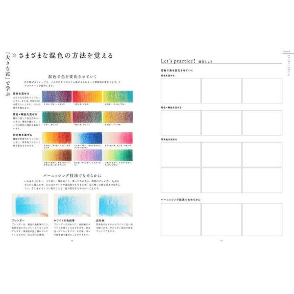 描き込み式いちばんていねいな、色鉛筆レッスン　専門的な技法を実践でマスター　テクニックがやさしく学べる