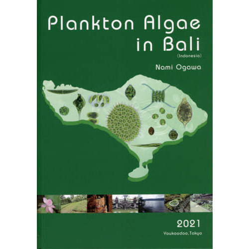 ֥ͥåȥåԥ󥰤㤨֣У塡£פβǤʤ4,400ߤˤʤޤ