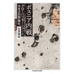 ボスニア内戦　グローバリゼーションとカオスの民族化