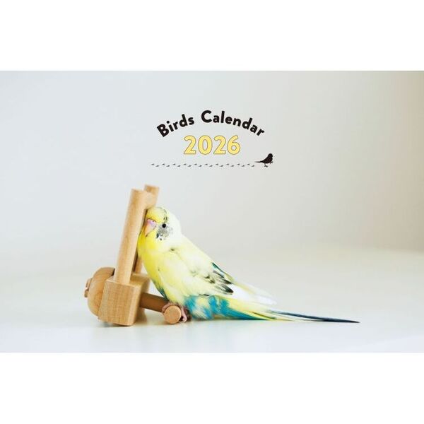 鳥 様 ご購入予定品 ブローチ 幸せの青い鳥ラインストーンピンブローチ 新発売セール