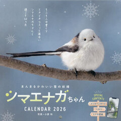 シマエナガちゃんＣＡＬＥＮＤＡＲ２０２６