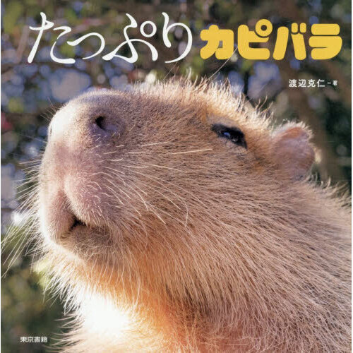 たっぷりカピバラ 通販｜セブンネットショッピング