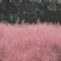 TESTSET／ALL HAZE（CD）