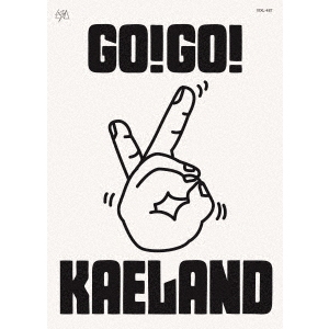 ☆木村カエラ DVD 「KAERA KIMURA GO!5!KAELAND」 初回限定仕様 木村